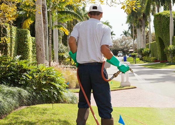 About Martin OH Pest Control